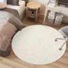 Machine Washable Area Rug With Non-Slip Backing Stain Resistant Easy Cleaning Indoor Carpet For Living Room Bed Dining Room Playroom Office - 3 of 4