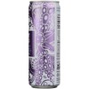 Dry Botanical Bubbly Lavender Sparkling Beverage - Case of 6/4/12 fz - 4 of 4
