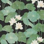 RoomMates Lily Pads Peel & Stick Wallpaper Black/Green