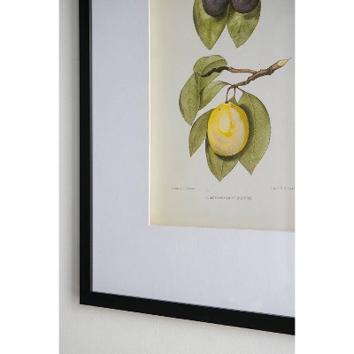 Set of 2 Black Framed Botanical Fruit Wall Art