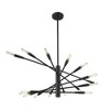 Z-Lite Ascension 16 - Light Chandelier in  Matte Black - 2 of 4