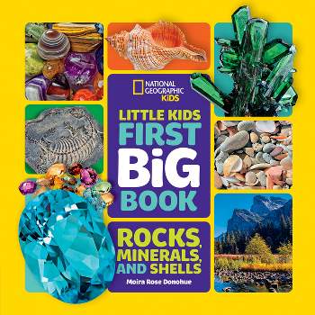 Little Kids First Big Book of Rocks, Minerals & Shells - (First Big Books) by  Moira Donohue (Hardcover)
