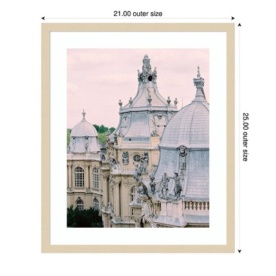 Paris Rooftops II Svelte Natural Framed Photography Print