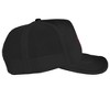 Game Of Thrones Targaryen Sigil Foam Trucker Cap Black - 3 of 4