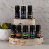 5ml Pure Essential Oil 8pk - SpaRoom: Aromatherapy Set with Lemon, Plant-Based Oils, Skin Soothing Tea Tree - 4 of 4