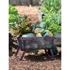 Multipurpose Garden Basket, Mod Hod, For Carrying, Cleaning, and Collecting - 3 of 4