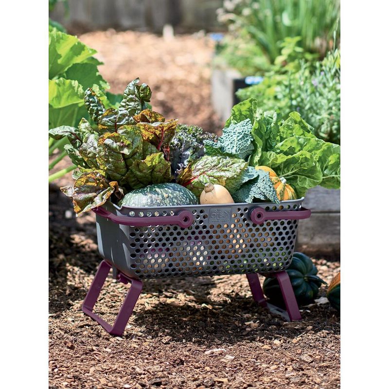 Multipurpose Garden Basket, Mod Hod, For Carrying, Cleaning, and Collecting, 3 of 5