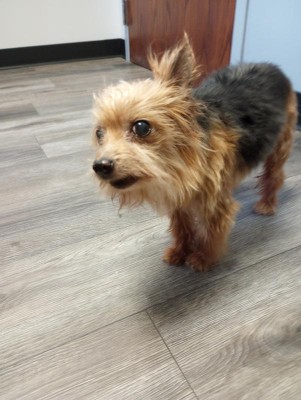 Guest review image 1 of 1, zoom in