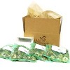 Van Zyverden 100ct Bulbs Narcissus Daffodils Dutch Master - 3 of 4