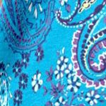 pretty turquoise paisley