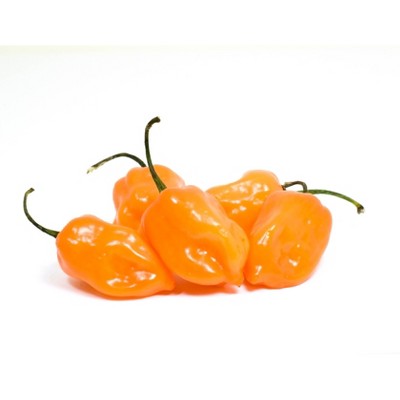 Habanero Peppers - 4oz