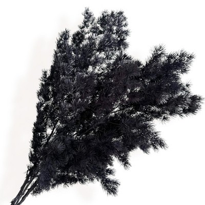 Alilang Decorative Dried Fine Leaf Stems for Home Decoration and Floral Arrangements, 17.7 Inches