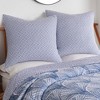 Wexford Blue Euro Sham Set - Two Euro Shams - Levtex Home - 2 of 3