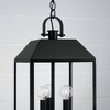 Capital Lighting Nelson 3 - Light Pendant in  Black - 3 of 4