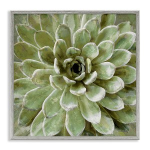 Stupell Industries Green Botanical Succulent Bloom, 24" x 24" - 1 of 4