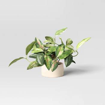 Artificial Hoya Leaf in Pot - Threshold™