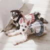 Touchdog (R) Fetching Smock Designer Fashion Dog Dress - 2 of 4