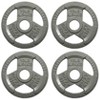 Kumasinova 2" Olympic Cast Iron Weight Plates,Gray Baked Enamel Finish Barbell Plates,Many Options - 2 of 4