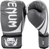 Venum Challenger 2.0 Hook and Loop Training Boxing Gloves - 2 of 4