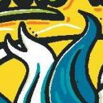 clear push pins bundle