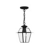 Livex Lighting Westover 1 - Light Pendant in  Black - 2 of 4
