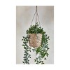 TAG Seagrass Diamond Pattern Hanging Planter Natural, 7.0L x 7.0W x 6.75H inches, Holds Up to 6 inch Drop In Pot - 2 of 2