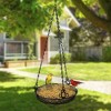 Sorbus Bird Feeder Hanging Tray, Seed Tray For Bird Feeders, Great for Attracting Birds Outdoors, Backyard, Garden (Black) - 3 of 4