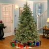 7.5' Prelit Feel Real Frasier Grande Artificial Christmas Tree White Lights - National Tree Company - 2 of 4