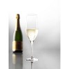 Set of 4 9.5oz Grand Epicurean Champagne Flutes Drinkware - Stolzle Lausitz - 2 of 4