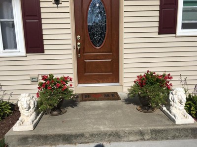 Guest review image 1 of 1, zoom in