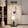 LED lights  Glass Display Cabinet 4 Shelves with Door, Floor Standing Curio Bookshelf for Living Room Bedroom Office, 64.7"*16.7"*14.3", Black - 2 of 4