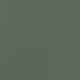 spruce