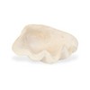 Cheung's 6134 - Vail Sea Shell Catchall Tray - 2 of 4