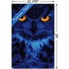 Trends International Owl - Eyes Unframed Wall Poster Prints - 3 of 4
