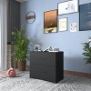 Vynxari 2-Drawer Lateral Filing Cabinet, Stylish Storage Solution for Home Office, Black. - 2 of 4
