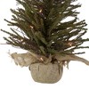 Northlight 2.5' Prelit Artificial Christmas Tree Warsaw Twig in Burlap Base - Clear Lights - 4 of 4