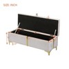 2 Pieces Bedroom Sets, Queen Size Upholstered Platform Bed with Hydraulic Storage System, Storage Ottoman with Metal Legs, Beige/Black-ModernLuxe - 4 of 4