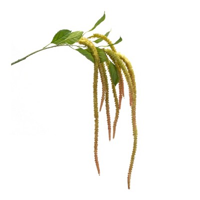 Melrose Amaranthus Floral Stem (Set of 4)