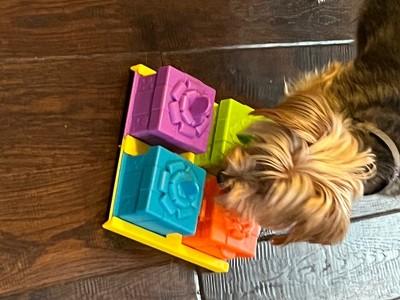 Brightkins Surprise Party Puzzle Treat Dog Toy Dispenser : Target