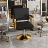 TinyHomie Hydraulic Salon Chair 360 Swivel Barber Stylist Chair with Pump Non Tilting Hairdressing Chair - 3 of 4