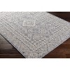 Hauteloom Balarim Indoor & Outdoor Rug - 3 of 4