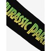 Jurassic Park Logo & Dino Stripes Adult Split Sweatpants - 2 of 3
