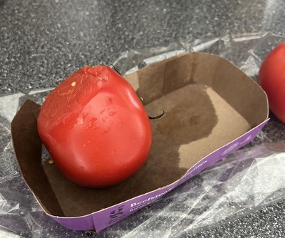 Guest review image 2 of 2, zoom in