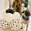 PartyWoo Balloons Paw White Dog Print Matte 12 Inch 50 pcs - 3 of 4