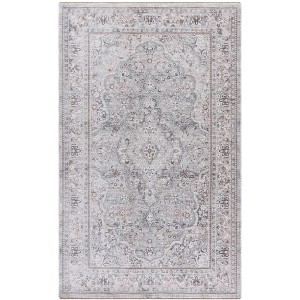 Autumn AUT505 Power Loomed Indoor Rugs - Safavieh - 1 of 4