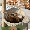 28 Inches Small Tower with Hammock, Cat Toy Wooden Interactive Condo for Kitten and Adults Cat - 2 of 4