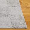 Easy Care ECR222 Machine Washable Hand Tufted Indoor Rugs - Safavieh - 3 of 4