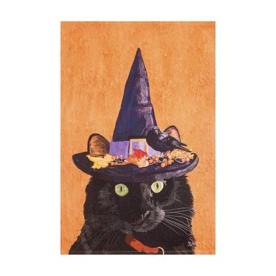 C&F Home Witch Cat Mouse Printed Flour Sack Kitchen Towel