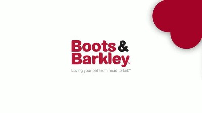 6cup Dog Bowl With Resist Pattern - Matte Black - Boots & Barkley™ : Target