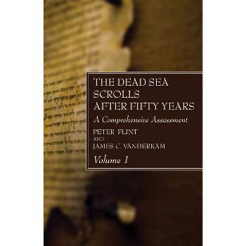 The Dead Sea Scrolls After Fifty Years, Volume 1 - by  Peter Flint & James C VanderKam (Paperback)